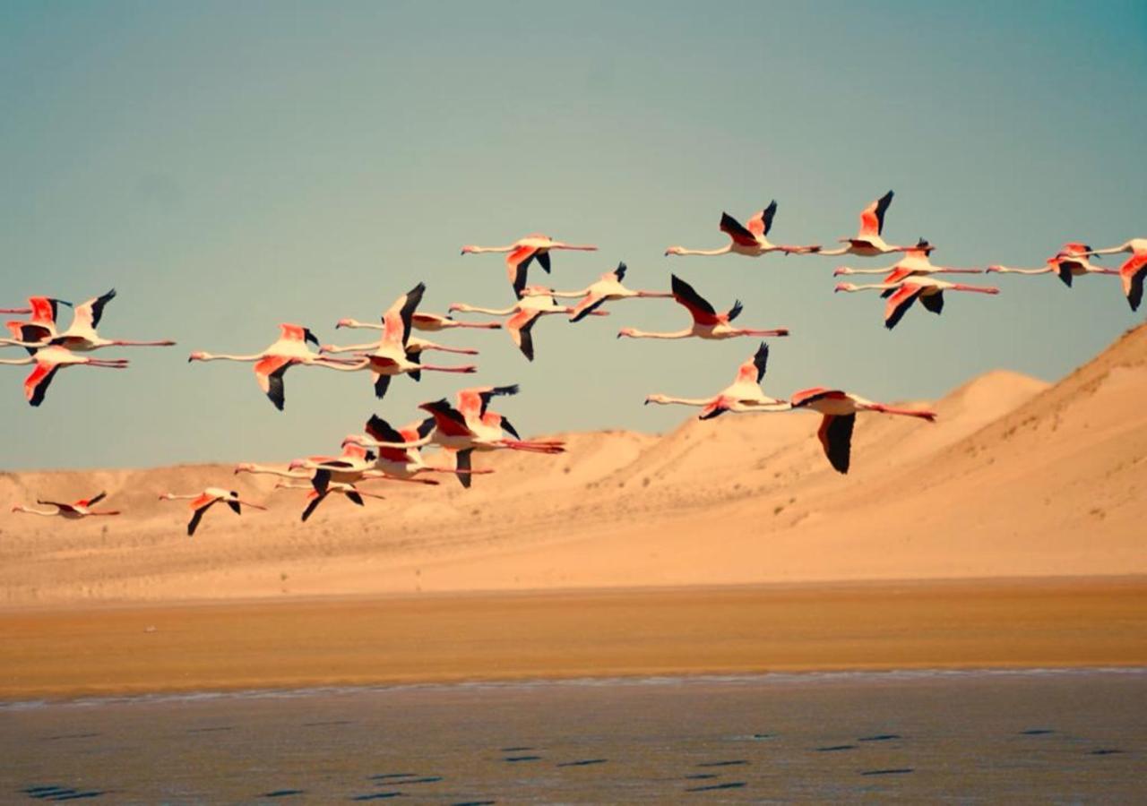 Paraiso Dakhla Exterior foto